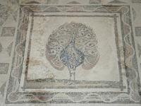 Haus des Dionysos - Bodenmosaik