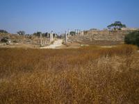 Die antike Stadt Salamis