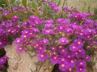 Wanderung zum Kap Greko