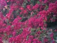 Nikosia - Impressionen