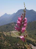 Nordzypern - St. Hillarion