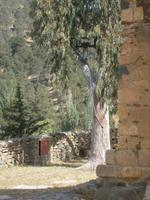 Scheunendachkirche Panagia Forviotissa (Asinoe) - Glocke im Baum