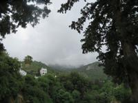 Bellapais