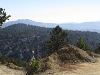 Blick auf Troodos-Gebirge