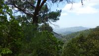 Blick in die Flora und Fauna des Troodosgebirges