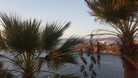 Blick vom Cynthiana Beach Hotel