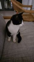Flauschiger Besuch 