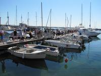 Hafen in Pafos