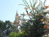 Hala-Sultan-Tekke
