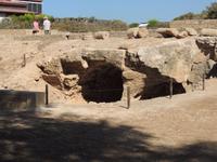 Haus des Dionysos