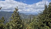 Im Troodosgebirge
