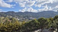 Morgenstimmung in Agros