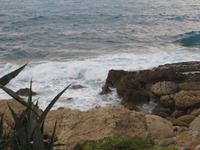 Natur am Hotel 