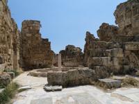 Salamis