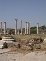 Salamis