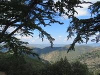 Troodosgebirge