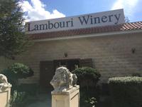Weindorf Omodhos