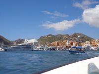 Tendern nach Cabo San Lucas