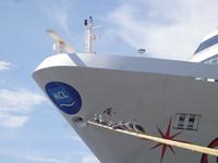 Wegbegleiter Pelikane