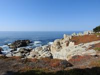 Pebble Beach - 17 Mile Drive