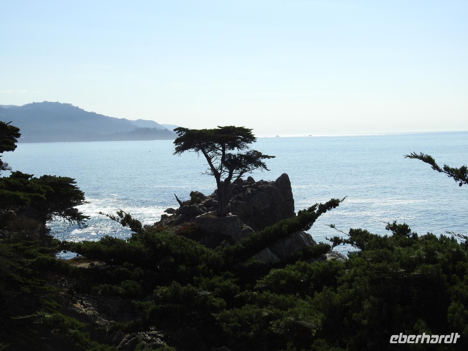 Pebble Beach - 17 Mile Drive