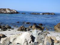 Pebble Beach - 17 Mile Drive