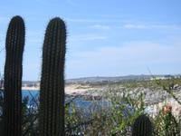 Cabo San Lucas - Mexiko