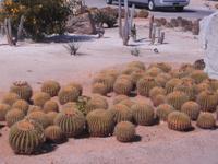 Cabo San Lucas - Mexiko