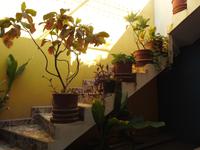 Cabo San Lucas - Mexiko