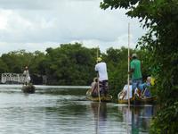 Fahrt durch die Mangroven