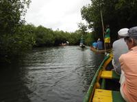 Kanufahrt durch die Mangroven