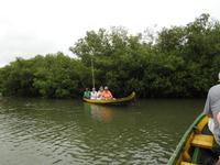 Fahrt durch die Mangroven