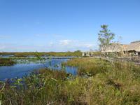 Everglades
