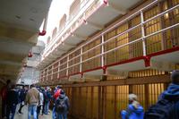 Alcatraz (10)