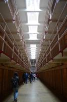 Alcatraz (19)