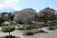 Antigua Guatemala (5)