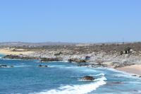 Cabo san Lucas (9)