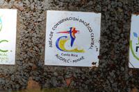 Carara Natiopnalpark  (4)