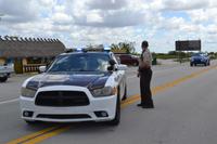 Everglades Miami (1)