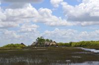 Everglades Miami (3)