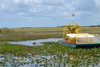 Everglades Miami (6)
