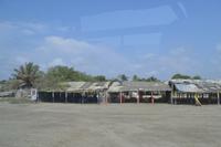 Kanufahrt durch Magroven - La Boquilla  (2)