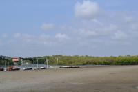 Kanufahrt durch Magroven - La Boquilla  (3)