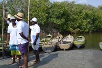 Kanufahrt durch Magroven - La Boquilla  (4)