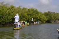 Kanufahrt durch Magroven - La Boquilla  (6)