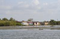 Kanufahrt durch Magroven - La Boquilla  (7)