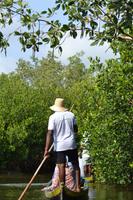 Kanufahrt durch Magroven - La Boquilla  (9)