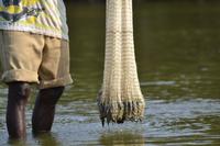 Kanufahrt durch Magroven - La Boquilla  (18)