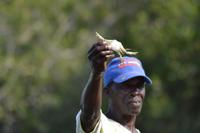 Kanufahrt durch Magroven - La Boquilla  (20)