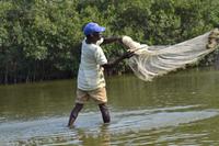 Kanufahrt durch Magroven - La Boquilla  (21)